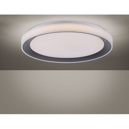 Leuchten Direkt 14659-18 - LED RGB Hämardatav laevalgusti LOLA LED/24W/230V Tuya + pult