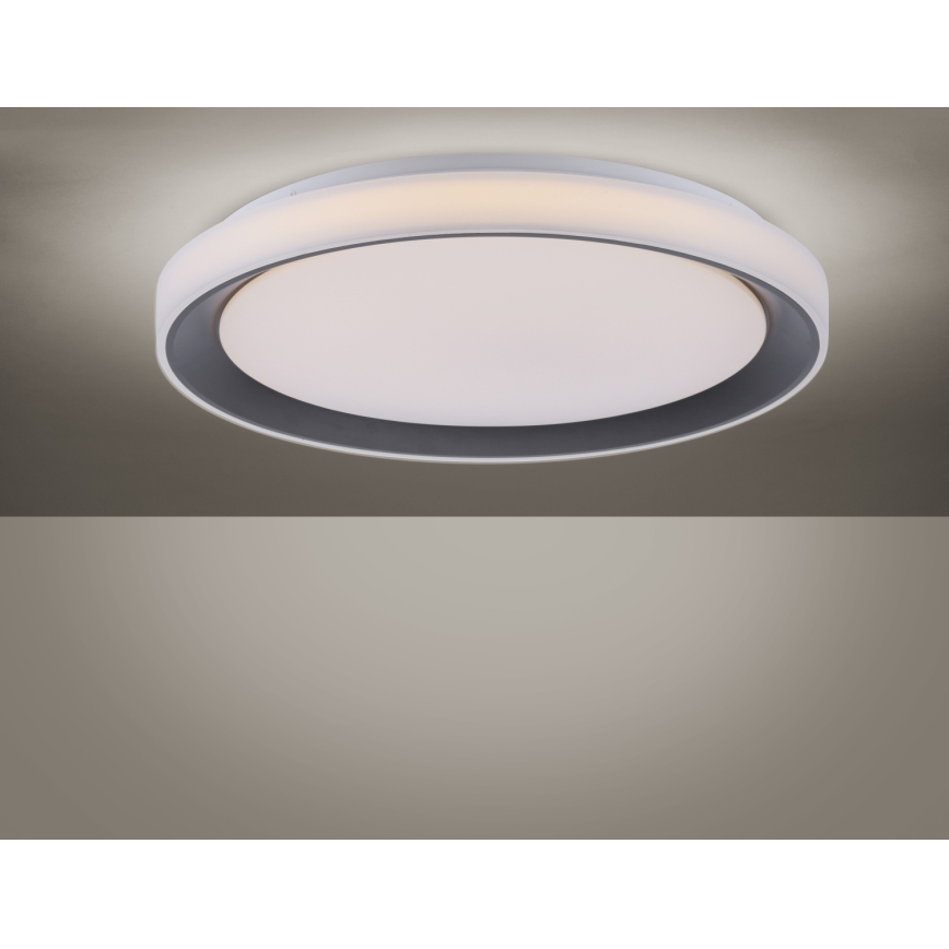 Leuchten Direkt 14659-18 - LED RGB Hämardatav laevalgusti LOLA LED/24W/230V Tuya + pult