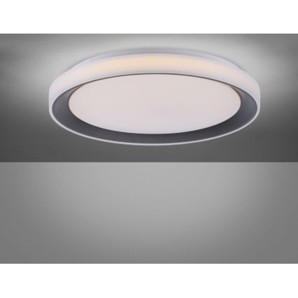 Leuchten Direkt 14659-18 - LED RGB Hämardatav laevalgusti LOLA LED/24W/230V Tuya + pult