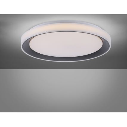 Leuchten Direkt 14659-18 - LED RGB Hämardatav laevalgusti LOLA LED/24W/230V Tuya + pult