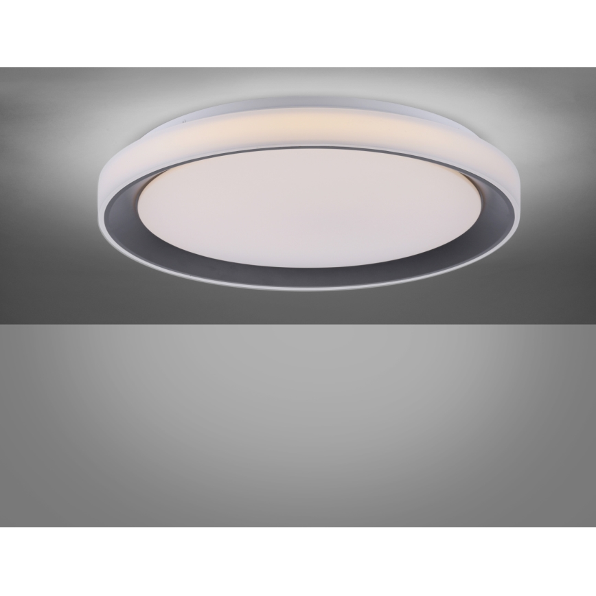 Leuchten Direkt 14659-18 - LED RGB Hämardatav laevalgusti LOLA LED/24W/230V Tuya + pult