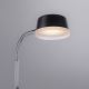 Leuchten Direkt 14825-18 - LED Laualamp ENISA 1xLED/3,5W/230V must