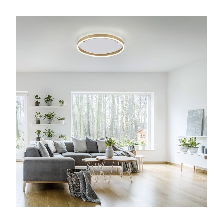 Leuchten Direkt 15391-60 - LED Hämardatav laevalgusti RITUS LED/20W/230V messing