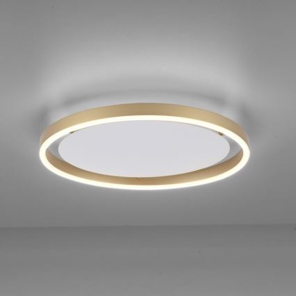 Leuchten Direkt 15391-60 - LED Hämardatav laevalgusti RITUS LED/20W/230V messing