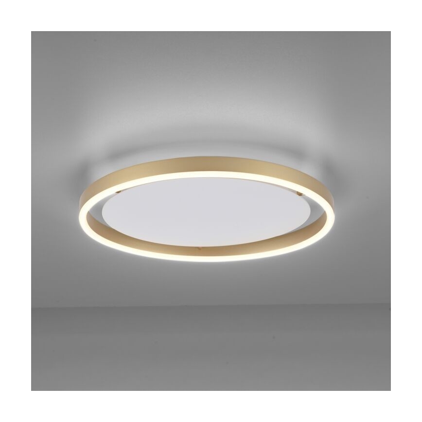 Leuchten Direkt 15391-60 - LED Hämardatav laevalgusti RITUS LED/20W/230V messing