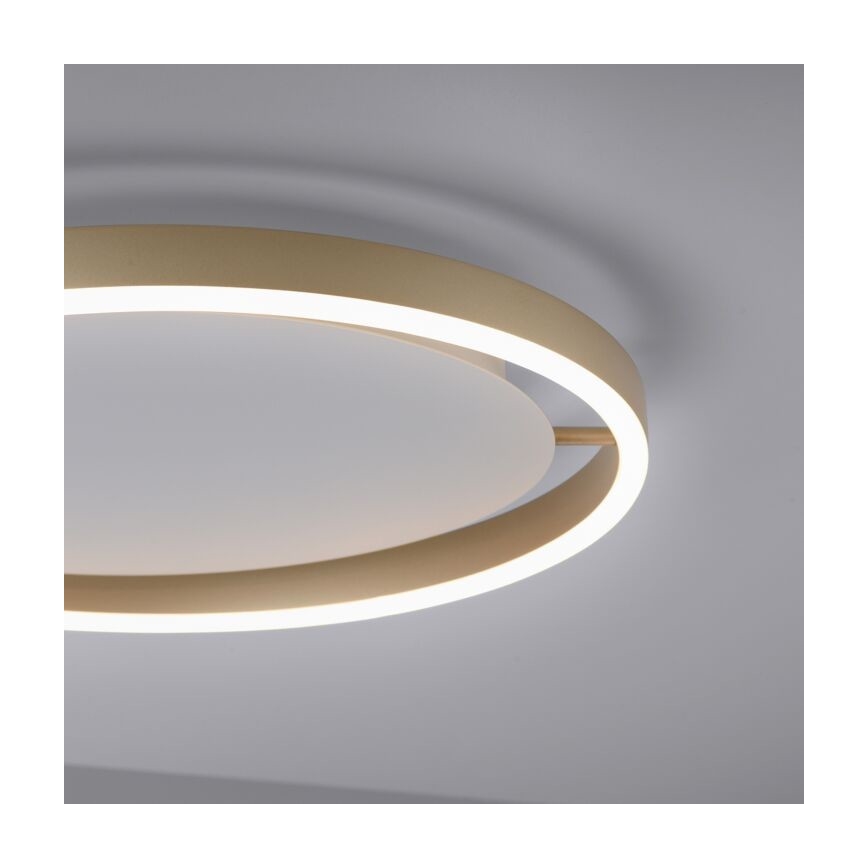 Leuchten Direkt 15391-60 - LED Hämardatav laevalgusti RITUS LED/20W/230V messing