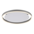 Leuchten Direkt 15391-95 - LED Hämardatav laevalgusti RITUS LED/20W/230V matt kroom