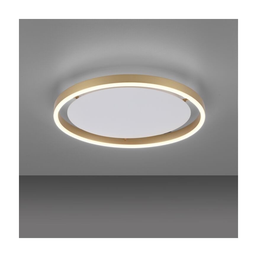 Leuchten Direkt 15392-60 - LED Hämardatav laevalgusti RITUS LED/28W/230V messing