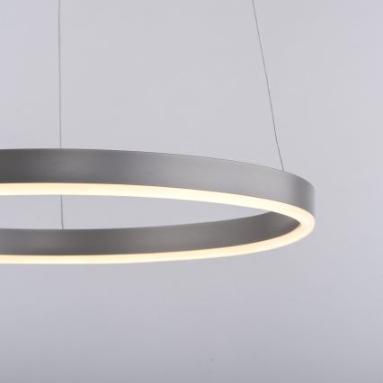 Leuchten Direkt 15393-95 - LED Hämardatav lühter RITUS LED/20W/230V matt kroom