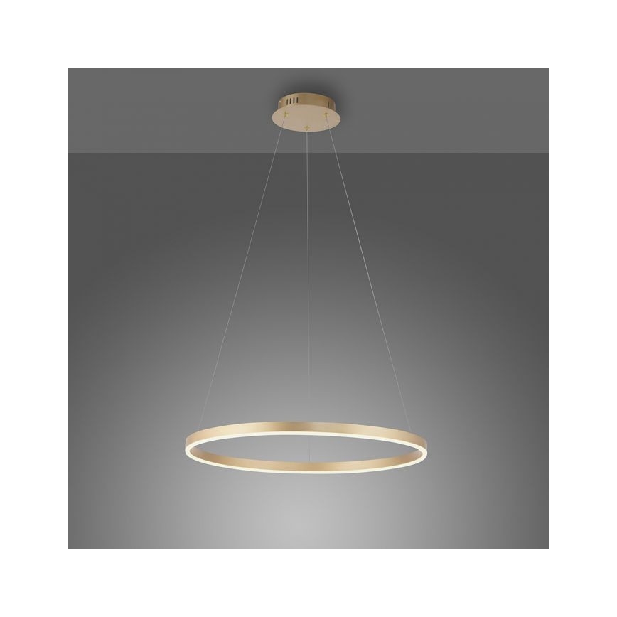 Leuchten Direkt 15394-60 - LED Hämardatav lühter RITUS LED/28W/230V messing