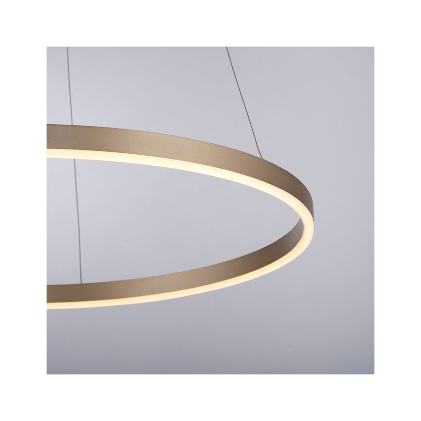 Leuchten Direkt 15394-60 - LED Hämardatav lühter RITUS LED/28W/230V messing