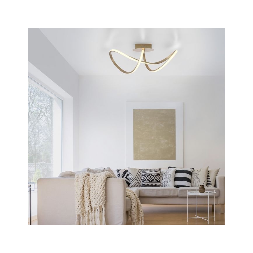 Leuchten Direkt 15403-60 - LED Hämardatav pinnale kinnitatav lühter MARIA LED/15,5W/230V