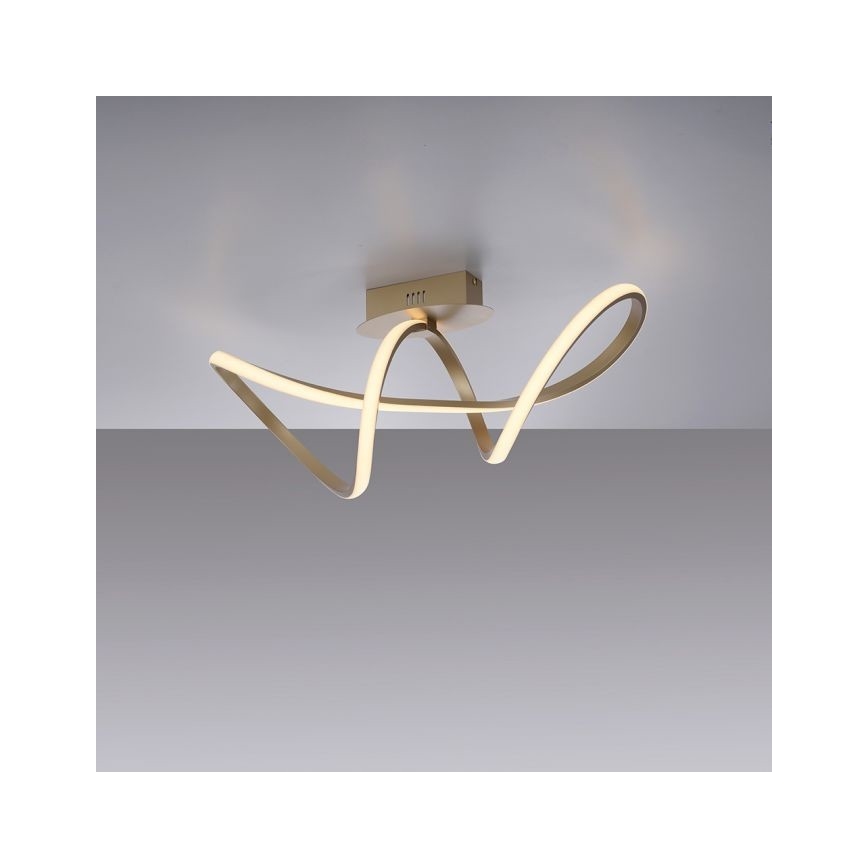 Leuchten Direkt 15403-60 - LED Hämardatav pinnale kinnitatav lühter MARIA LED/15,5W/230V