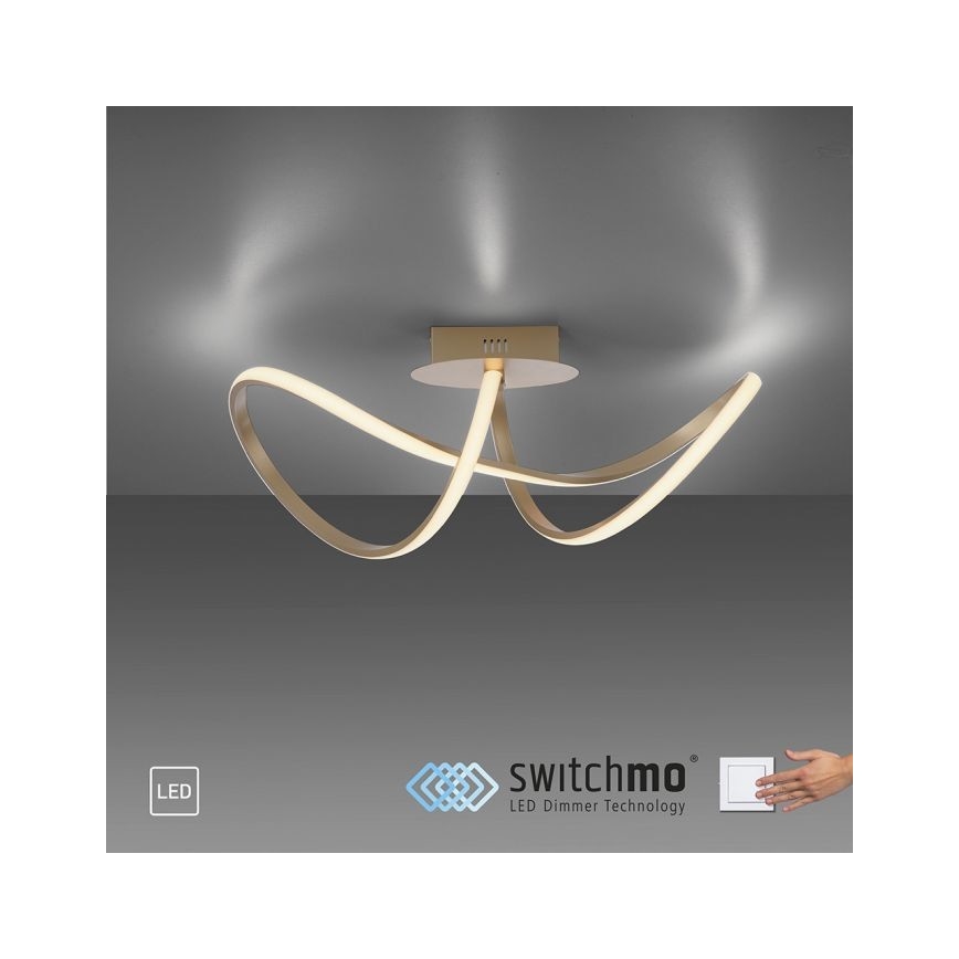 Leuchten Direkt 15403-60 - LED Hämardatav pinnale kinnitatav lühter MARIA LED/15,5W/230V