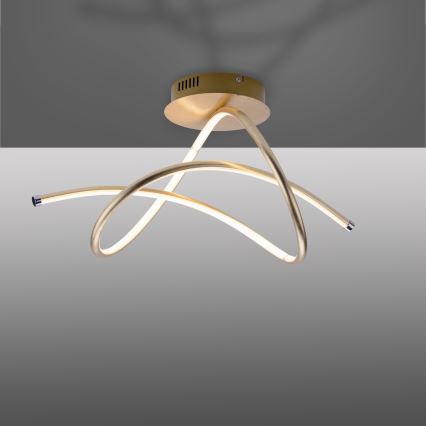 Leuchten Direkt 15441-12 - LED Pinnale kinnitatav lühter VIOLETTA LED/26W/230V