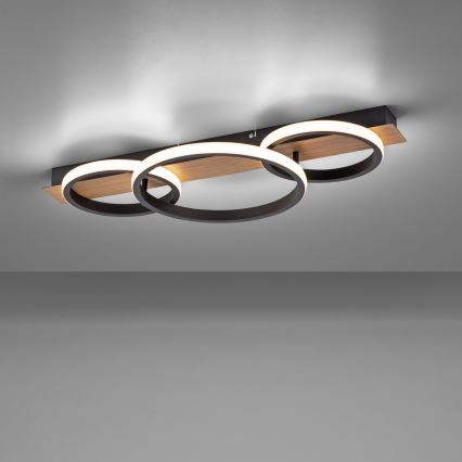 Leuchten Direkt 15616-78 - LED Laevalgusti TROOPER LED/37W/230V