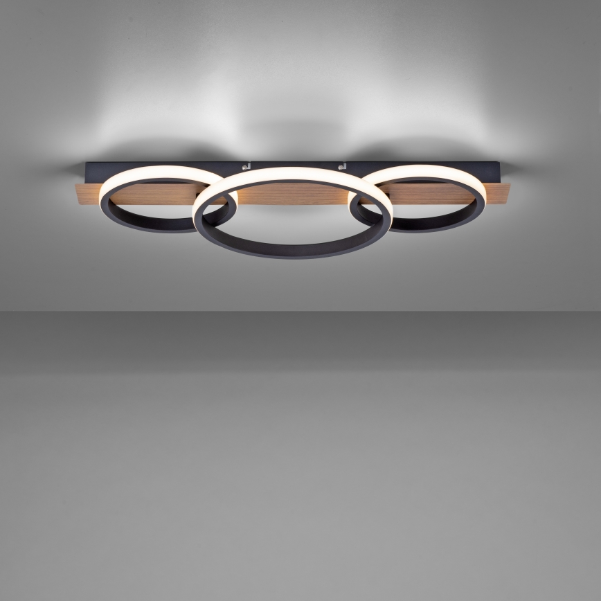 Leuchten Direkt 15616-78 - LED Laevalgusti TROOPER LED/37W/230V