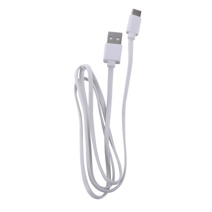 Leuchten Direkt 19250-16 - LED Väli hämardatav laetav laualamp EURIA LED/3W/5V 2600 mAh IP54 valge