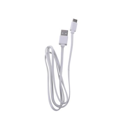 Leuchten Direkt 19250-40 - LED Väli hämardatav laetav laualamp EURIA LED/3W/5V 2600 mAh IP54 hall