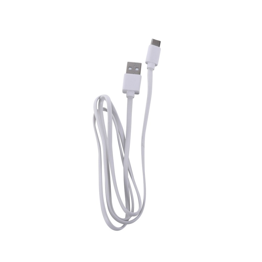 Leuchten Direkt 19250-40 - LED Väli hämardatav laetav laualamp EURIA LED/3W/5V 2600 mAh IP54 hall
