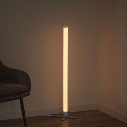 Leuchten Direkt 19902-21 - LED RGB Hämardatav lamp RINGO LED/10W/230V+pult
