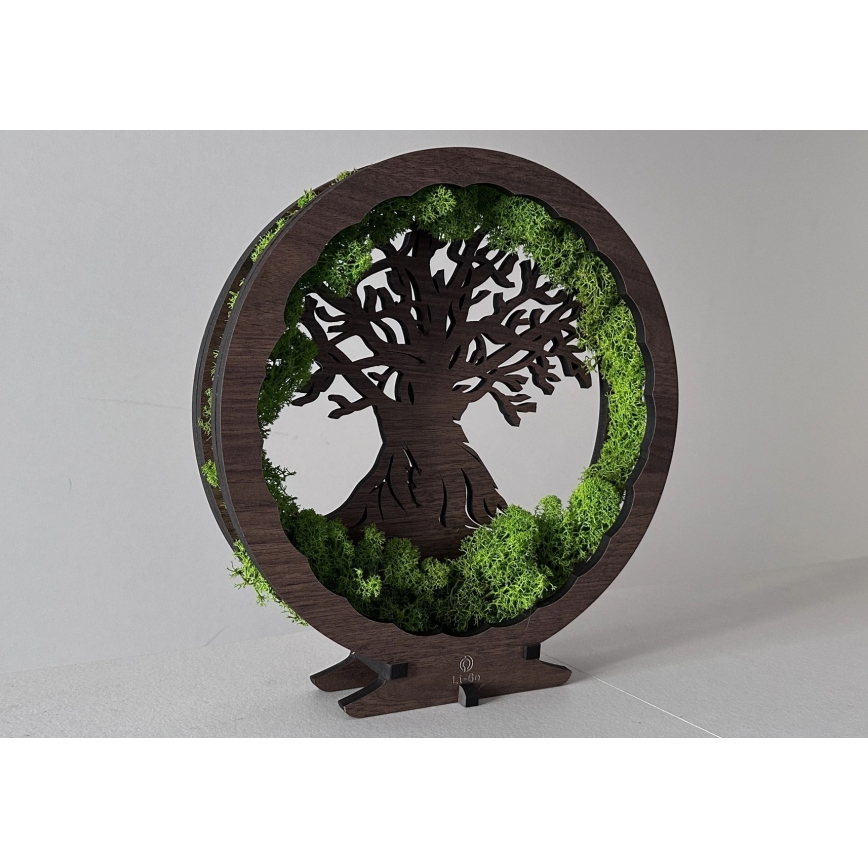 Li-Go 23604/DUB2 - LED hämardatav dekoratiivne laualamp LED/12W/230V 20x22 cm tamm/sammal ja puu