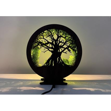 Li-Go 23604/DUB2 - LED hämardatav dekoratiivne laualamp LED/12W/230V 20x22 cm tamm/sammal ja puu