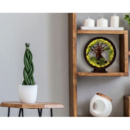 Li-Go 23604/DUB2 - Hämardatav LED-lauakaunistus LED/12W/230V 20x22 cm tamm/sammal ja puu