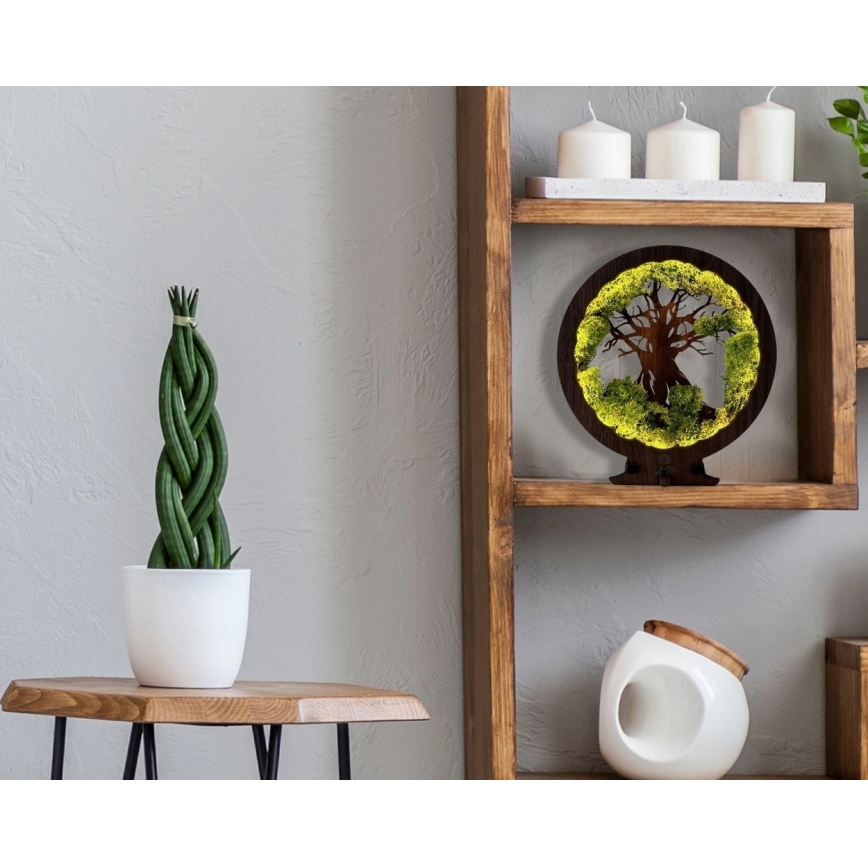 Li-Go 23604/DUB2 - Hämardatav LED-lauakaunistus LED/12W/230V 20x22 cm tamm/sammal ja puu