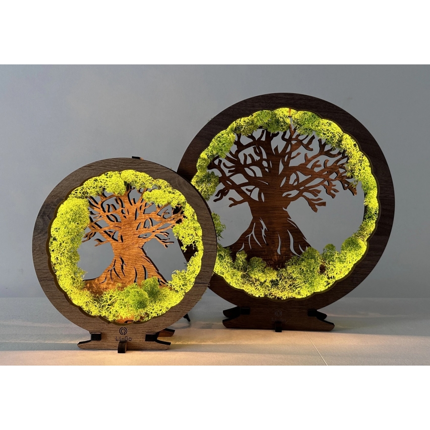 Li-Go 23604/DUB2 - Hämardatav LED-lauakaunistus LED/12W/230V 20x22 cm tamm/sammal ja puu