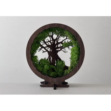 Li-Go 23604/DUB2 - Hämardatav LED-lauakaunistus LED/12W/230V 20x22 cm tamm/sammal ja puu