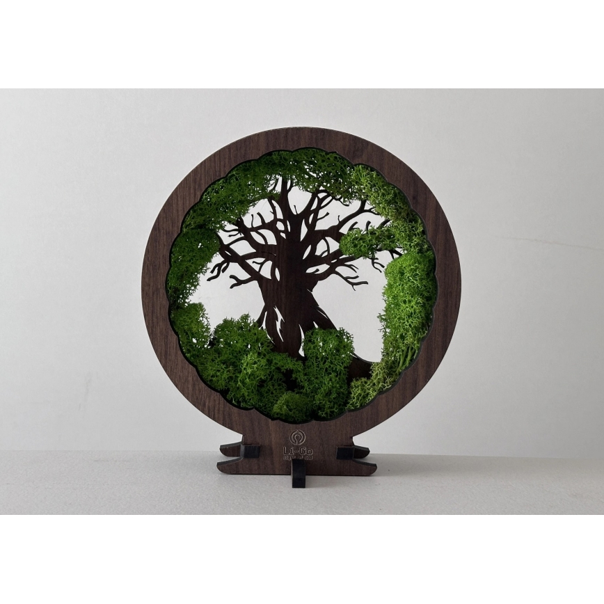 Li-Go 23604/DUB2 - Hämardatav LED-lauakaunistus LED/12W/230V 20x22 cm tamm/sammal ja puu