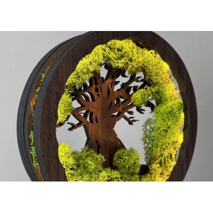 Li-Go 23604/DUB2 - Hämardatav LED-lauakaunistus LED/12W/230V 20x22 cm tamm/sammal ja puu