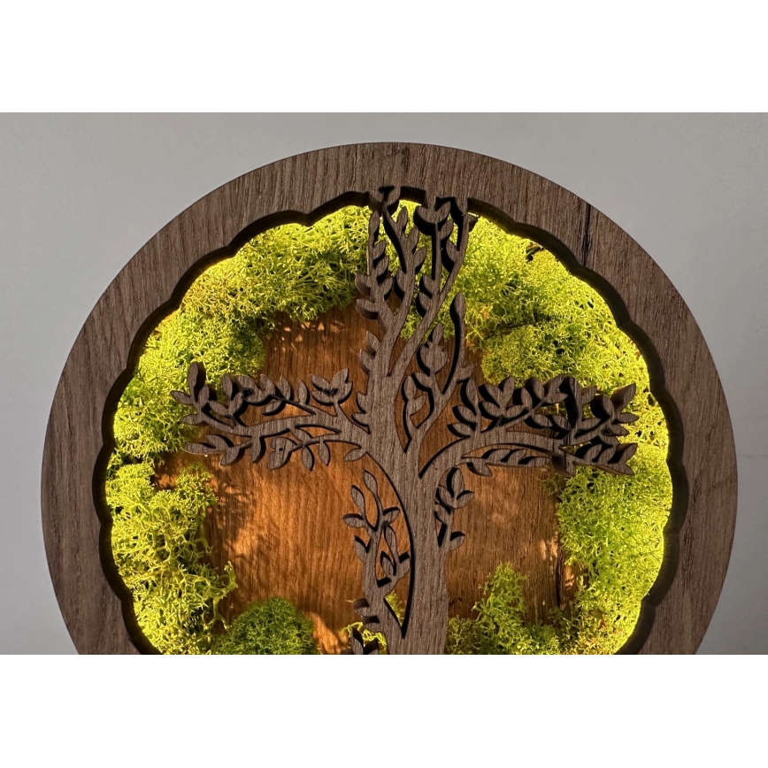 Li-Go 23622/DUB2 - Hämardatav LED-lauakaunistus LED/12W/230V 20x22 cm tamm/Rist samblas