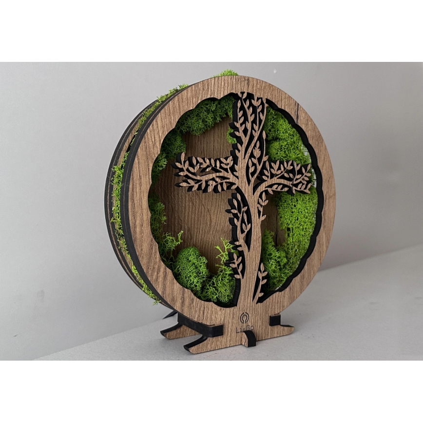 Li-Go 23622/DUB2 - Dekoratiivne hämardatav LED laualamp LED/12W/230V 20x22 cm tamm/Rist samblas