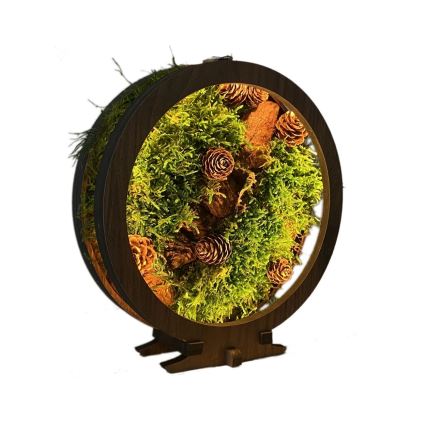 Li-Go 23654 - Hämardatav LED lauakaunistus LED/12W/230V 20x22 cm pähkel/Samblane vaikelu