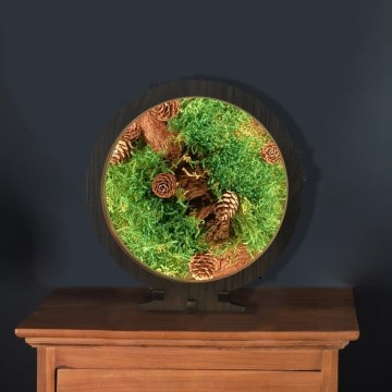 Li-Go 23654 - LED hämardatav lauakaunistus LED/12W/230V 20x22 cm pähkel/Samblane vaikelu