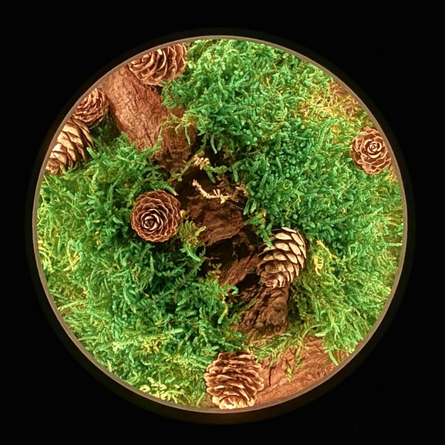 Li-Go 23654 - LED hämardatav lauakaunistus LED/12W/230V 20x22 cm pähkel/Samblane vaikelu