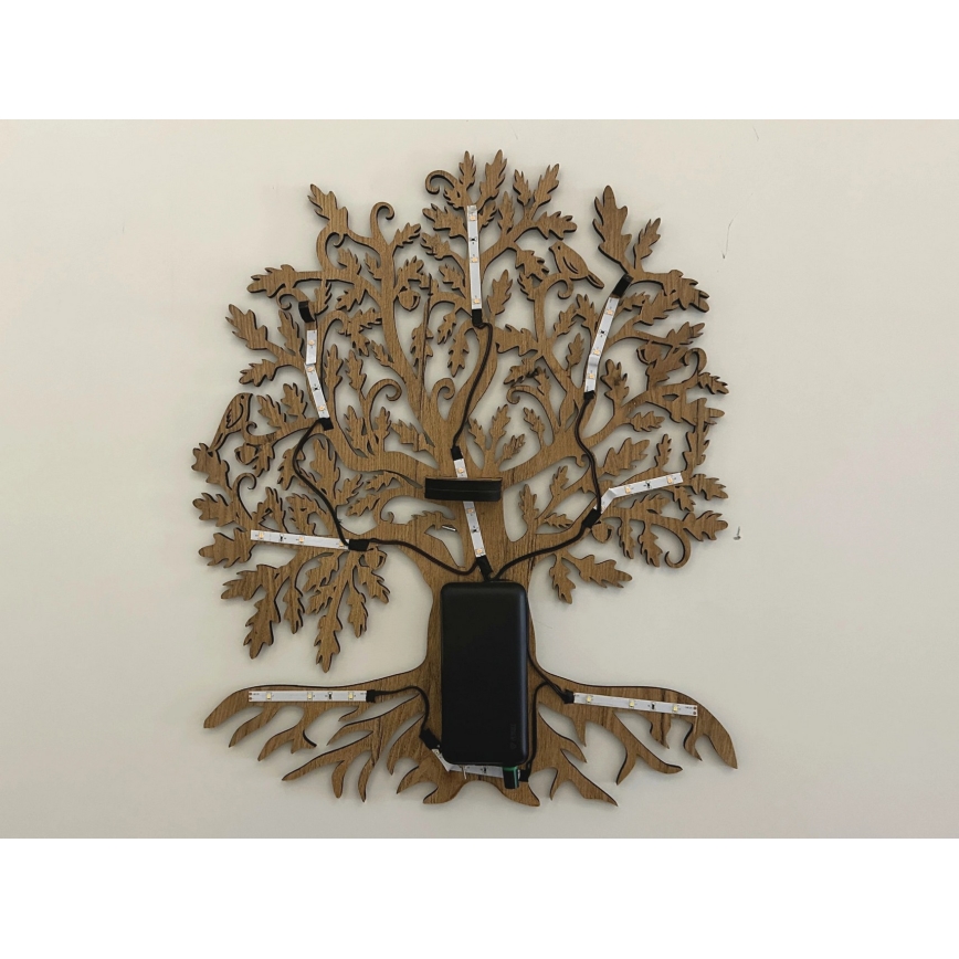 Li-Go 23673/DUB2 - LED hämardatav seinakaunistus LED/10W/5V 20000 mAh 45x55 cm tamm + kaugjuhtimispult