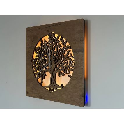 Li-Go 5652/DUB2 - LED-hämardatav seinakell LED/10W/5V 20000 mAh 42x42 cm tamm/tamm rõngas + kaugjuhtimispult