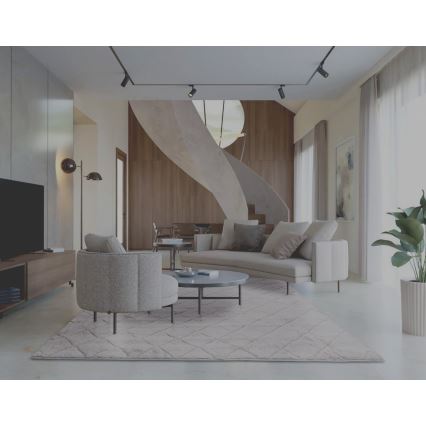 Libisemisvastane vaip MODENA NEW 120x160 cm helehall