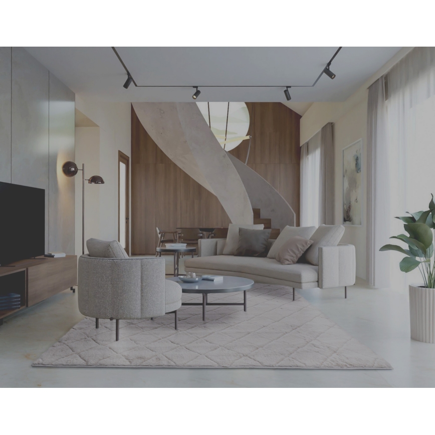 Libisemisvastane vaip MODENA NEW 120x160 cm helehall