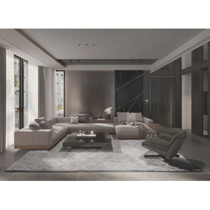 Libisemisvastane vaip MODENA NEW 120x160 cm helehall