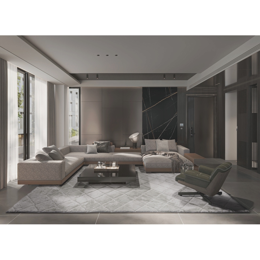 Libisemisvastane vaip MODENA NEW 120x160 cm helehall