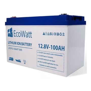 LiFePO4 aku 12,8V/100Ah
