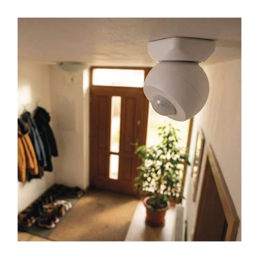 Liikumisandur GOSMART 1xCR123A