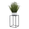Lillealus 40x24 cm antratsiit