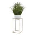 Lillealus 40x24 cm kreemikas