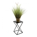 Lillealus 40x24 must