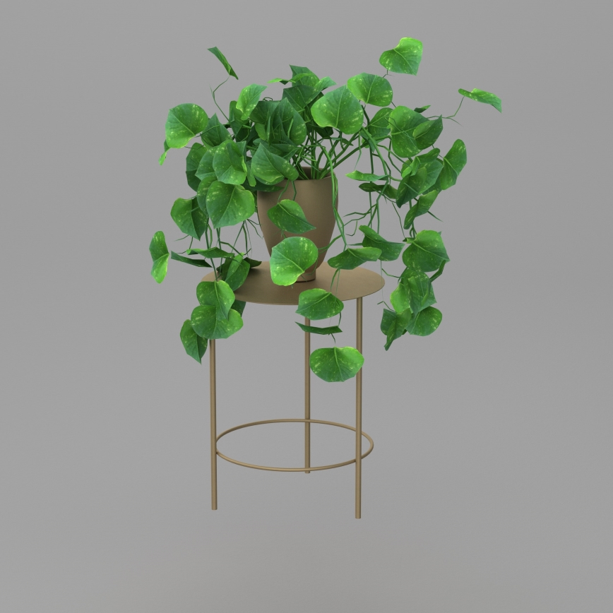 Lillealus 40x32 cm kuldne